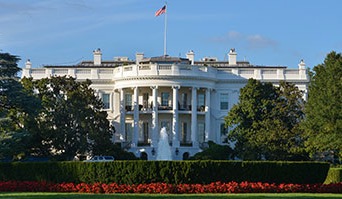 large image